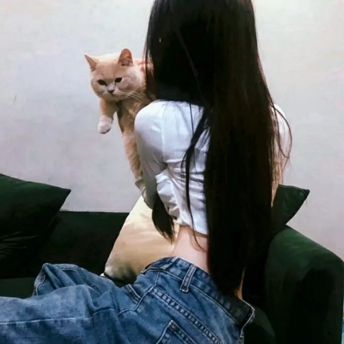 小圆满 在线观看